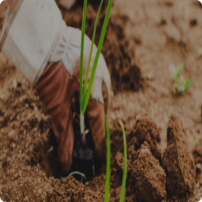 NHU CẦU TUYỂN DỤNG